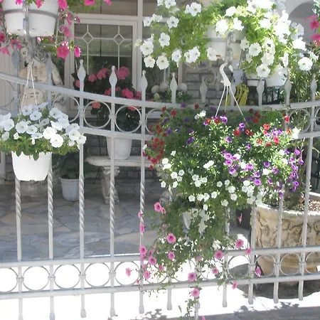 Apartament Blue Dream